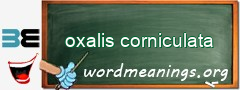 WordMeaning blackboard for oxalis corniculata